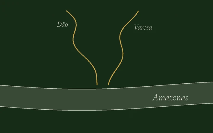 Do Dão ao Amazonas